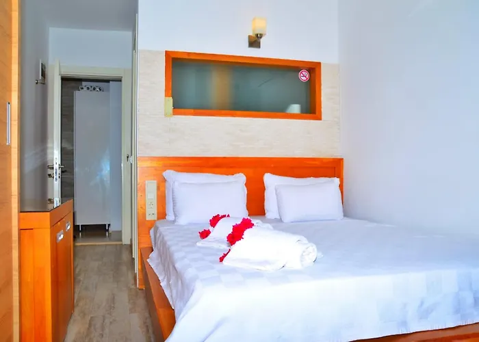 酒店 努尔酒店 2*